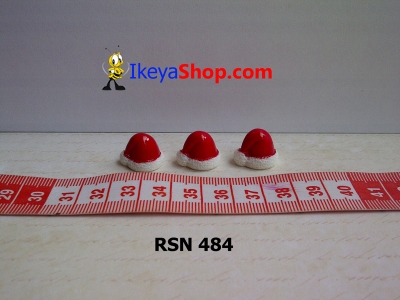 rsn 484  large2